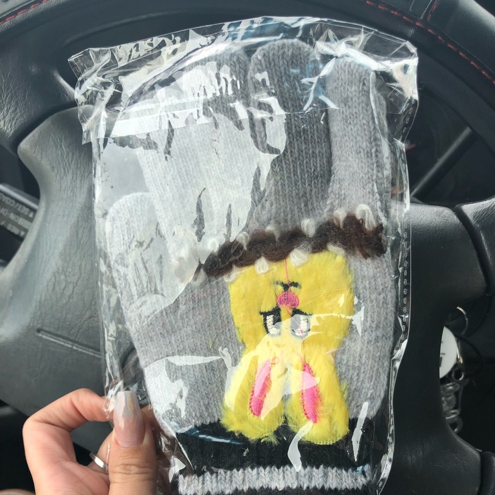 Brand new mittens/gloves! NWT